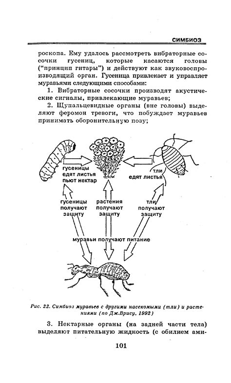 Симбиоз с другими органами