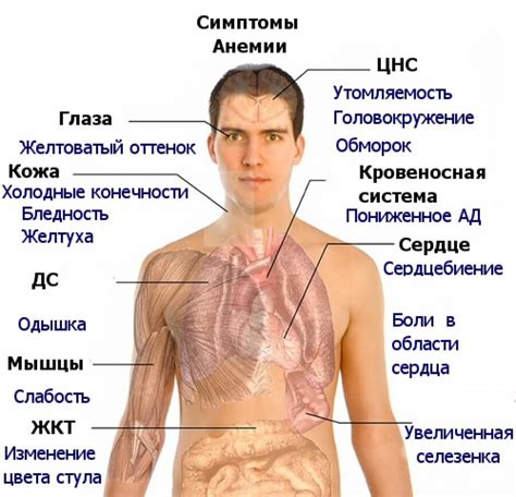 Симптомы анемии