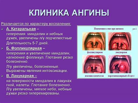 Симптомы присутствия фолликулов