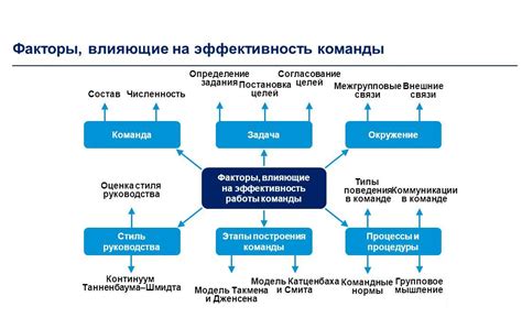 Систематический отчет и оценка работы команды