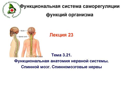 Система саморегуляции организма