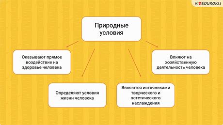 Следствия игнорирования собственного развития: воздействие на жизнь и взаимоотношения