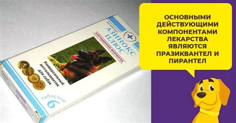 Советы ветеринаров по использованию препарата для собак