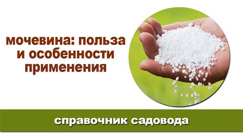 Советы по сохранению готовой глазури от производителя Пудов: продление срока годности и условия хранения