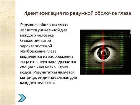 Советы по сохранению и обновлению уникальной биометрической информации