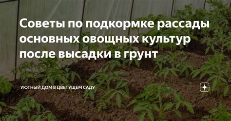 Советы по усилению транеца