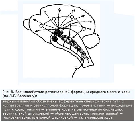 Современные исследования подтверждают