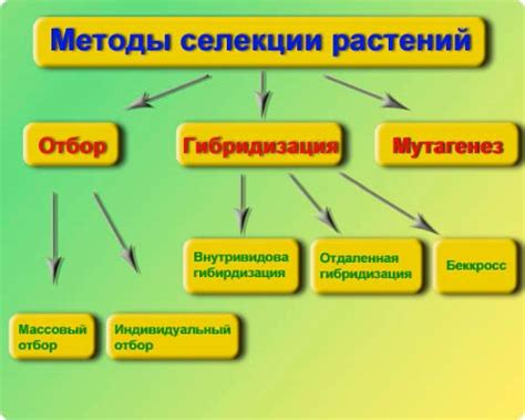 Современные методы искусственной селекции