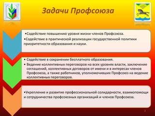 Содействие в развитии профессиональной общности