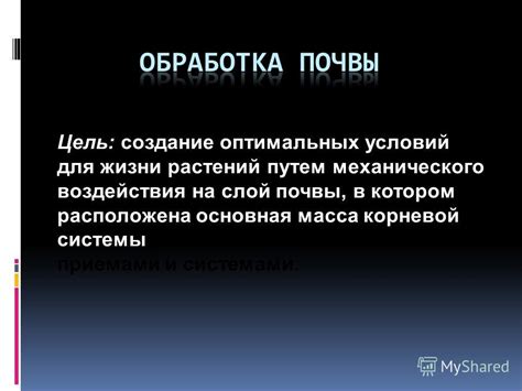 Создание оптимальных условий для растений: необходимые шаги