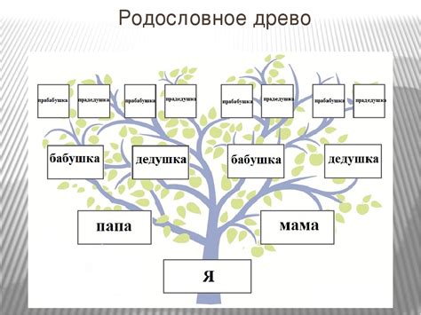 Создание семейного древа: пресервация родовых связей и истории рода