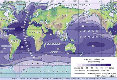 Соленость вод в различных морях