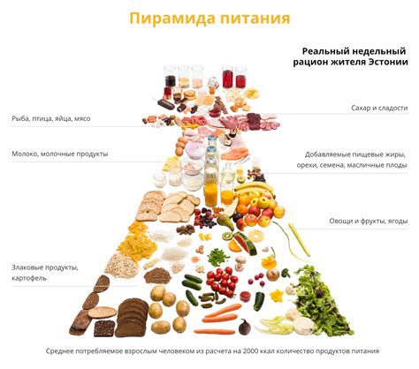 Состав рациона для воспитания птенца