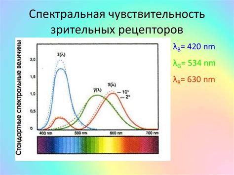 Спектральная чувствительность глазных рецепторов