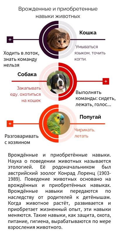 Специфика поведения в животном мире