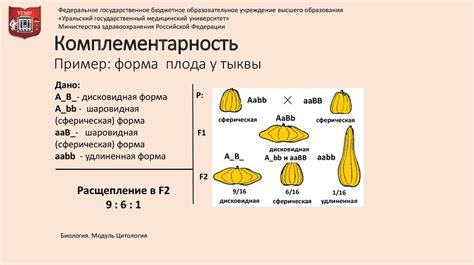 Специфика проявления гетерозиготной формы полиморфизма