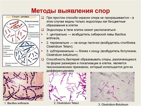 Спор о влиянии краски