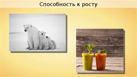 Способность к росту