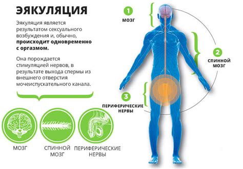 Способы профилактики и лечения психопатии