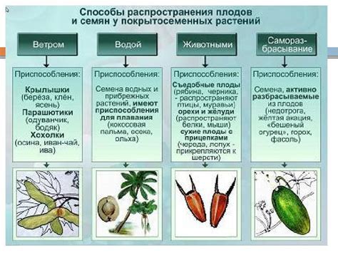 Способы распространения