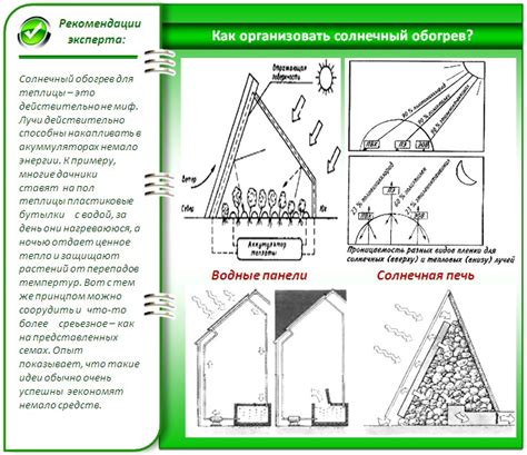 Способы устройства теплицы