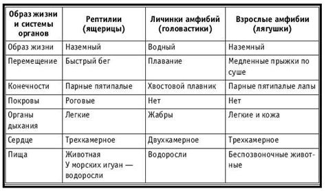 Сравнение мяса рыбы и животных