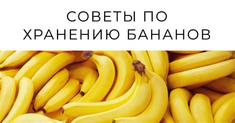 Сроки хранения и признаки испорченности бананов