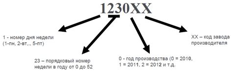 Срок годности и дата производства