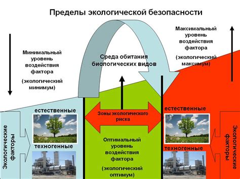 Стандарты экологической безопасности