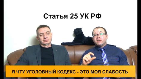 Статья 25 УК РФ