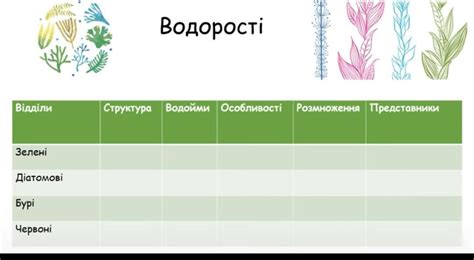 Структура водорослей: основные черты