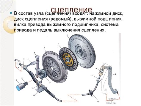 Существующие типы сцеплений и их отличия