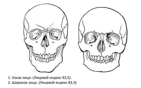 Сходства и различия между типами личности