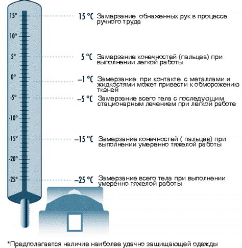 Тема 1: Значение правильного хранения эссенции при низкой температуре