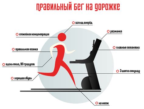 Тема 3: Значение вариативности тренировочных программ на беговой дорожке