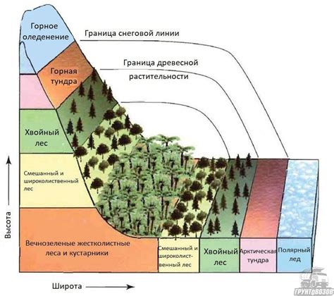 Температурные особенности в горах