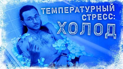 Температурный стресс и переувлажнение