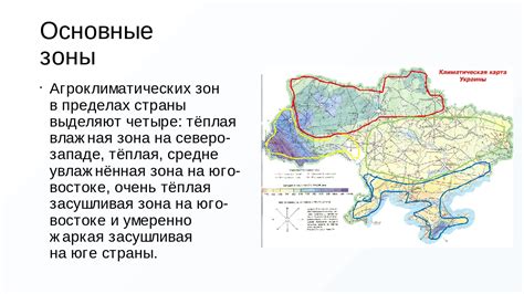 Тенистая и влажная зона