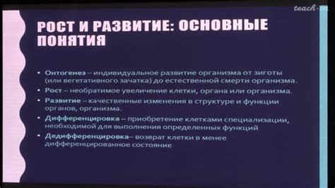 Терморегуляция растений: основные принципы и механизмы