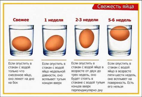 Тест на плавание: как определить состояние яйца