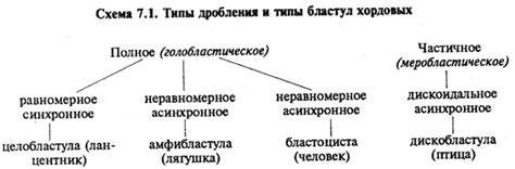 Типы басмы и способы их применения