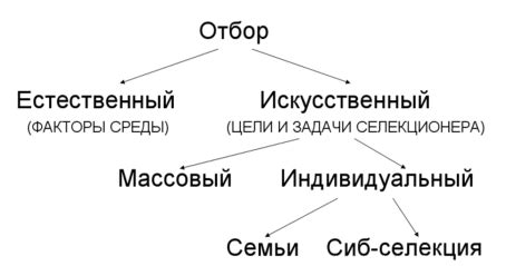 Типы селекции