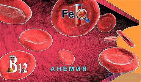 Традиционная медицина для восстановления крови