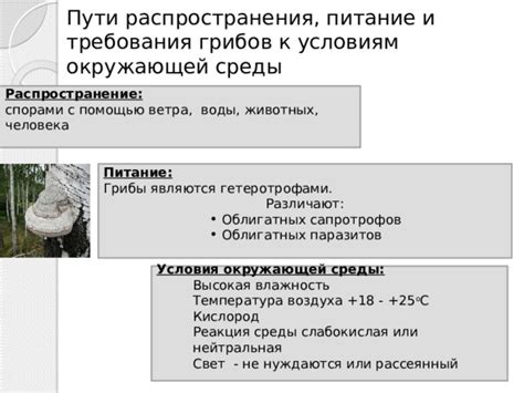 Требования к условиям культивации карельских грибов