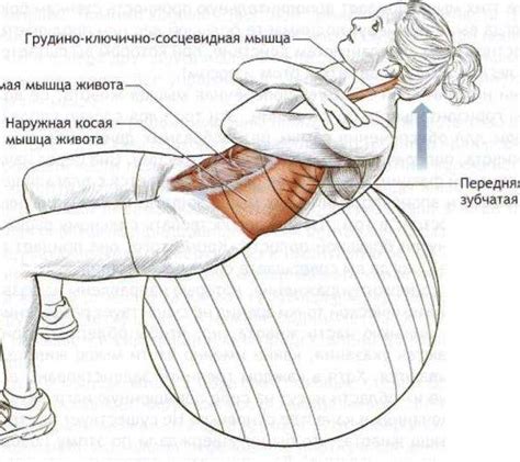 Тренируем мышцы живота простыми и эффективными упражнениями