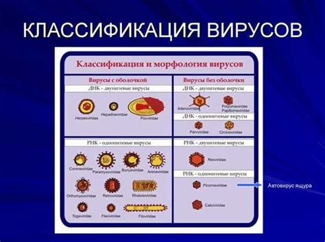 Увеличение устойчивости к заболеваниям