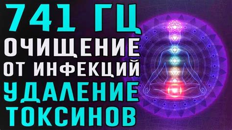 Удаление токсинов