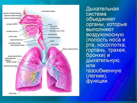 Улучшение дыхательной функции через пение