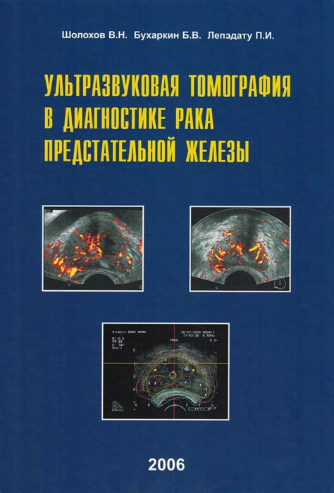 Ультразвуковая томография: визуализация жировых отложений в организме