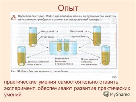 Умения и опыт Вадима на проекте